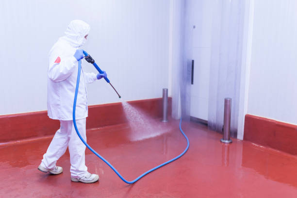Best Paint Preparation  in Redway, CA