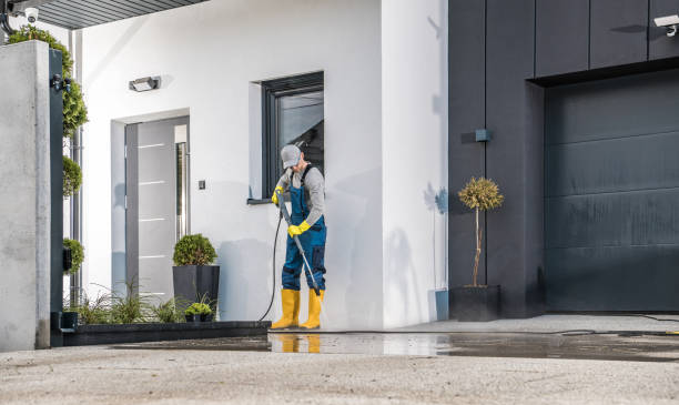 Best Soft Washing  in Redway, CA
